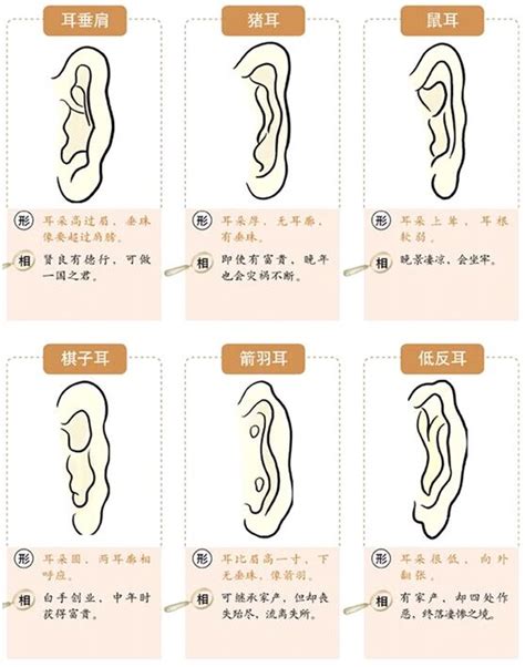 方形耳面相|面相耳朵图解【最详细版】 – 杨易德全集官网